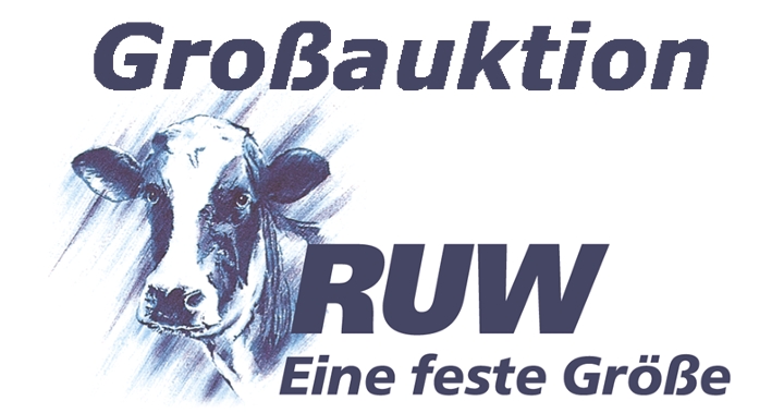 Grossauktion-Logo.jpg