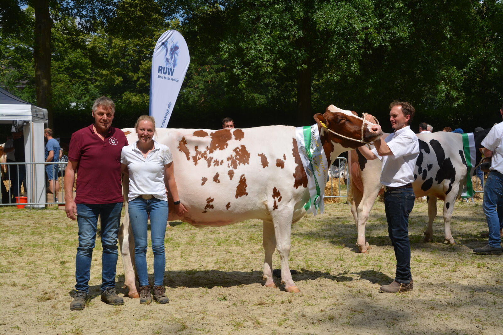 Der Titel zur Grand Champion geht an Belina von Gold PP, Ludger Wiewer, Drensteinfurt.