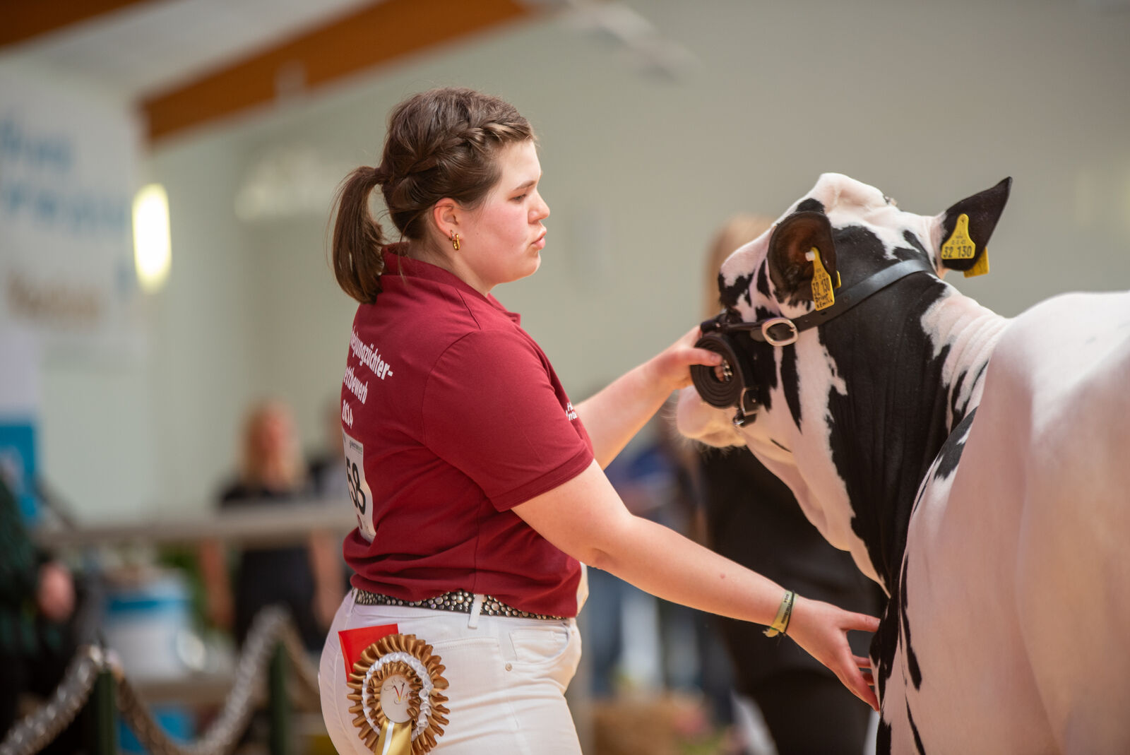 Maren Buxtrup sichert sich mit Elfie nach einer ruhigen Vorführleitung den 1a Platz.