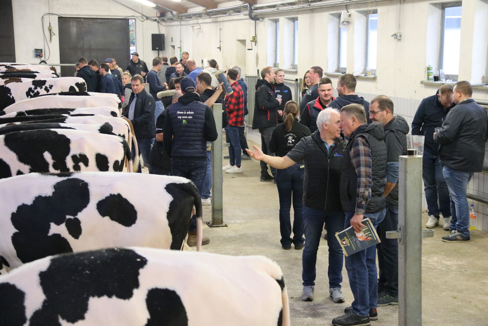 Beste Stimmung auf der Stallgasse kurz vor dem Start. Fachsimpeln und Züchterfreunde aus ganz Europa treffen ist auch ein wichtiger Aspekt beim GMS. 