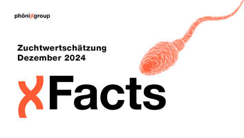 XFacts_Homepage__Vorlagen.jpg