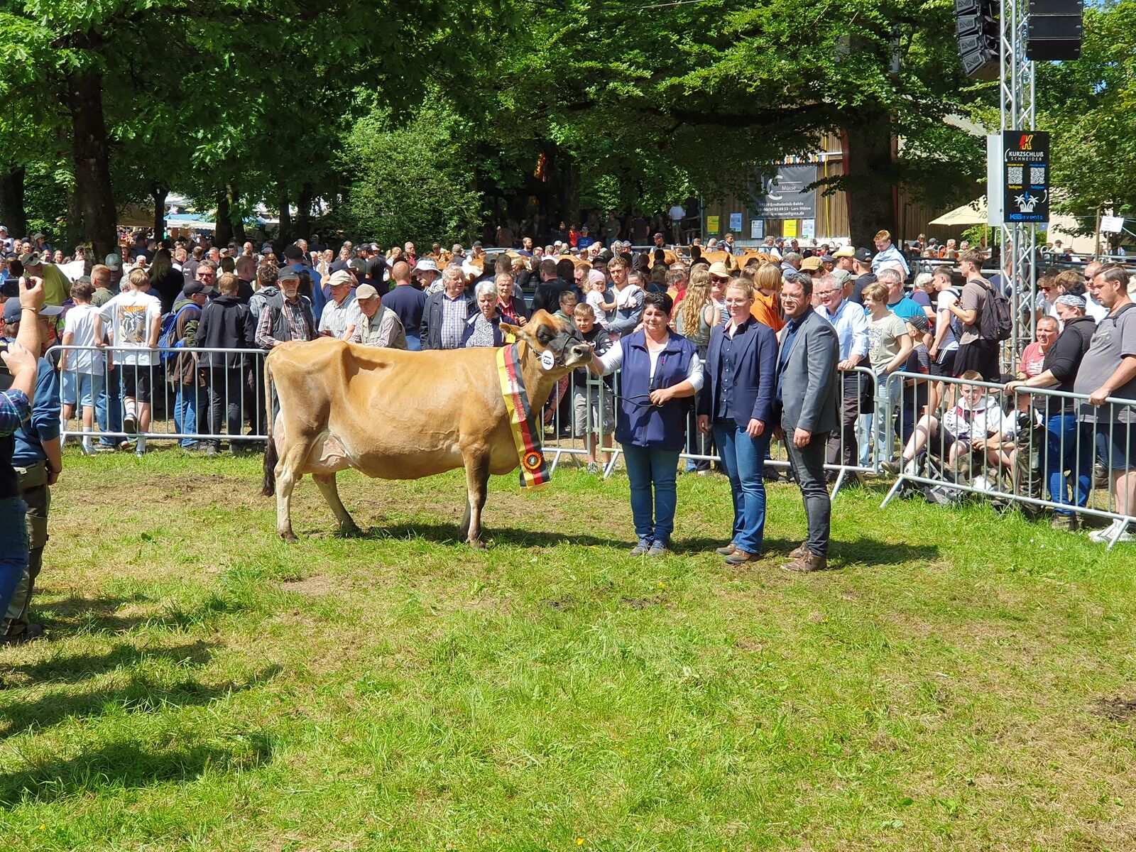 Siegerkuh in der Kategorie Jersey und spätere Miss Siegen-Wittgenstein war die Oliver-P-Tochter Olivia aus dem Bestand von Iris Böhl, Erndtebrück.