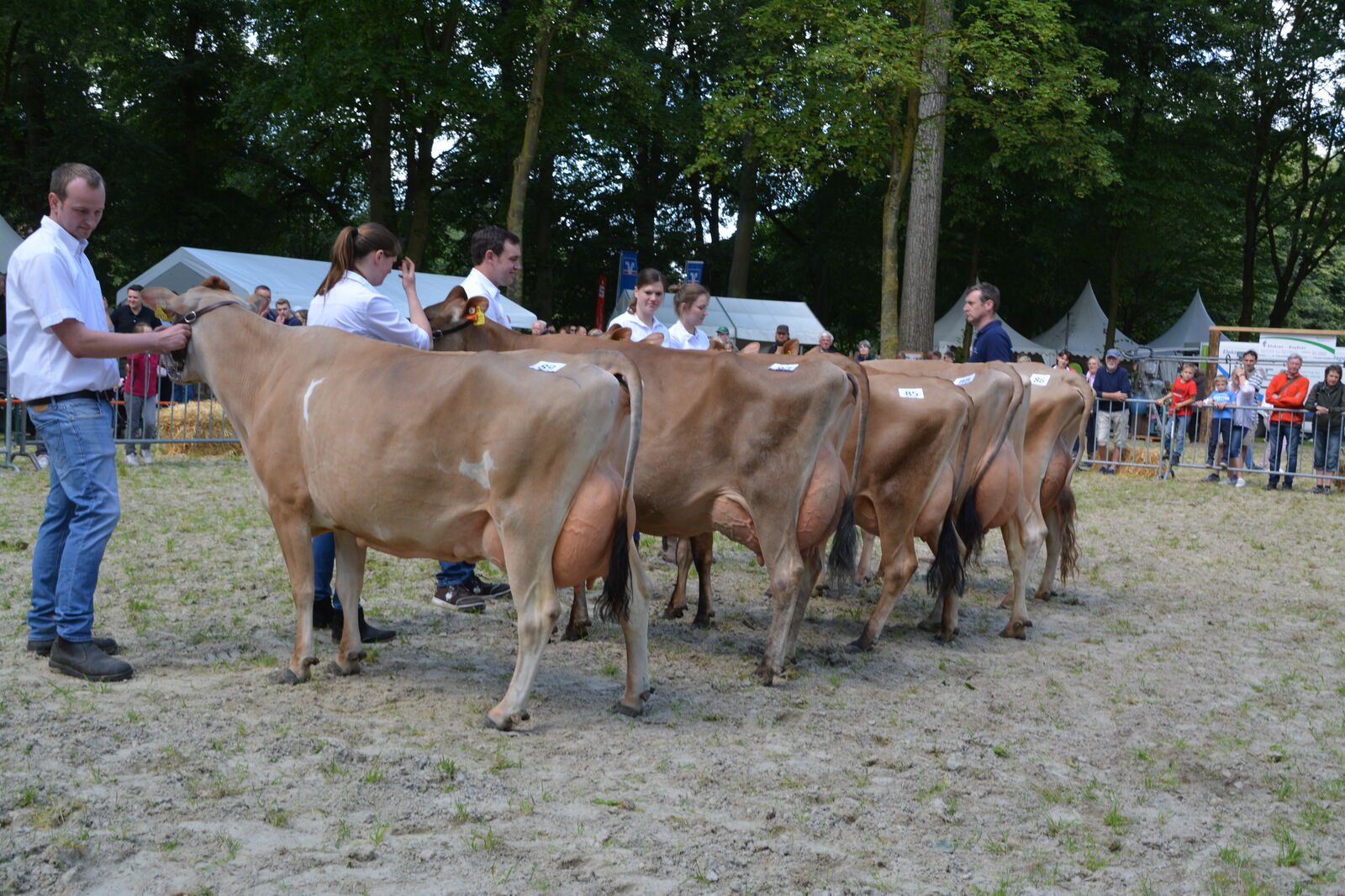 Aufstellung der Jerseyklasse