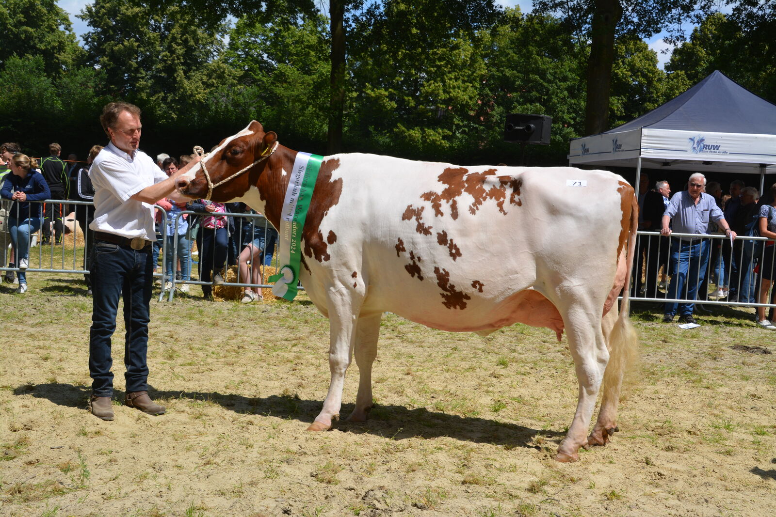 Sieger rotb. mittel, Belina v. Gold PP, Ludger Wiewer, Drensteinfurt